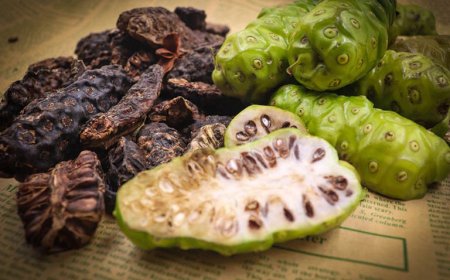 Quả nhàu khô đun nước uống có tác dụng gì? 5 lợi ích và cách sử dụng đúng