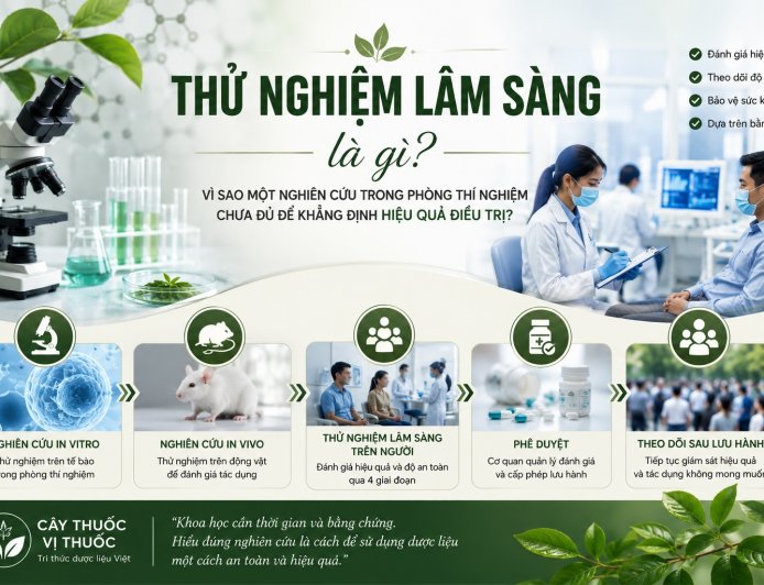 Thử nghiệm lâm sàng là gì? Vì sao một nghiên cứu trong phòng thí nghiệm chưa đủ để khẳng định hiệu quả điều trị?