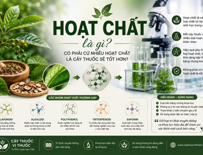 Hoạt chất là gì? Có phải cứ nhiều hoạt chất là cây thuốc sẽ tốt hơn?