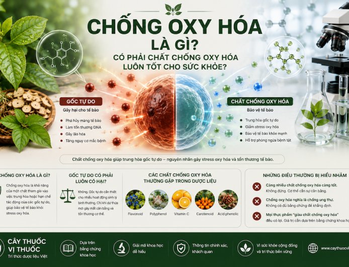 Chống oxy hóa là gì? Có phải chất chống oxy hóa luôn tốt cho sức khỏe?
