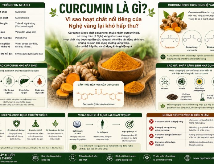 Curcumin là gì? Vì sao hoạt chất nổi tiếng của Nghệ vàng lại khó hấp thu?