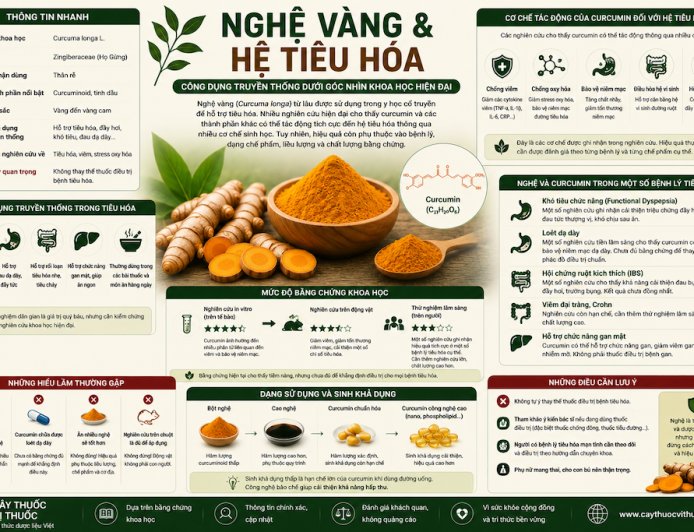 Nghệ vàng và hệ tiêu hóa: Công dụng truyền thống dưới góc nhìn khoa học hiện đại