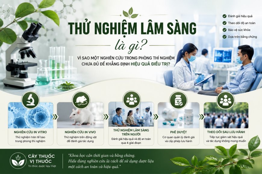 Thử nghiệm lâm sàng là gì? Vì sao một nghiên cứu trong phòng thí nghiệm chưa đủ để khẳng định hiệu quả điều trị?