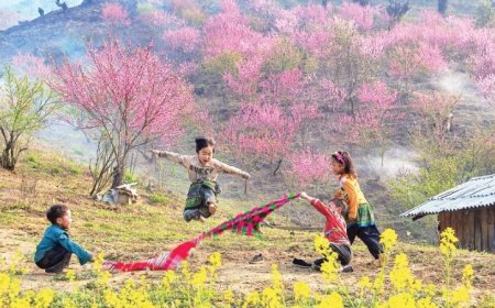 Sinh Con Mùa Nào Thì Con Thông Minh Hơn? Khoa Học Nói Gì Về Tháng Sinh Và Trí Tuệ Của Trẻ?