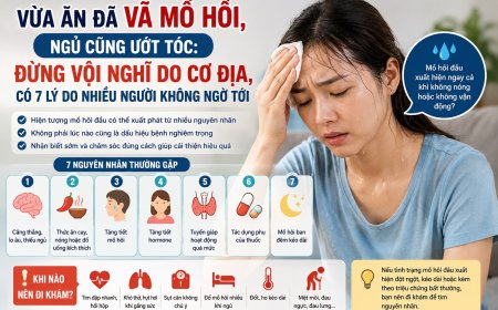 Vừa Ăn Đã Vã Mồ Hôi, Ngủ Cũng Ướt Tóc: 7 Nguyên Nhân Không Nên Bỏ Qua