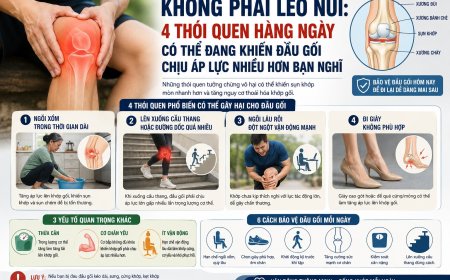 Không Phải Leo Núi: 4 Thói Quen Hằng Ngày Có Thể Đang Khiến Đầu Gối Chịu Áp Lực Nhiều Hơn Bạn Nghĩ