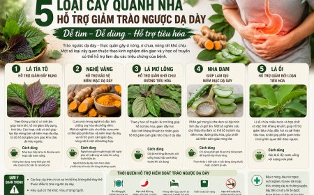 5 Cây Quanh Nhà Có Thể Hỗ Trợ Người Bị Trào Ngược Dạ Dày