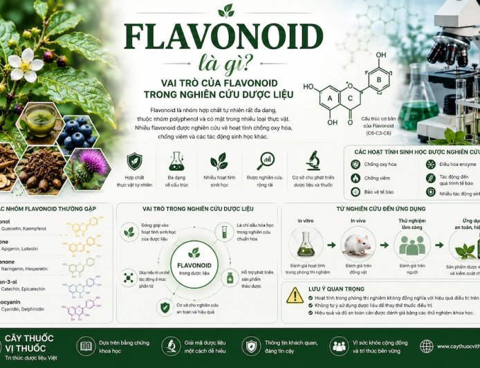 Flavonoid là gì? Vai trò của flavonoid trong nghiên cứu dược liệu