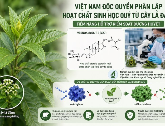 Cây lá đắng và hoạt chất Vernoamyosit E: Phát hiện đáng chú ý của các nhà khoa học Việt Nam