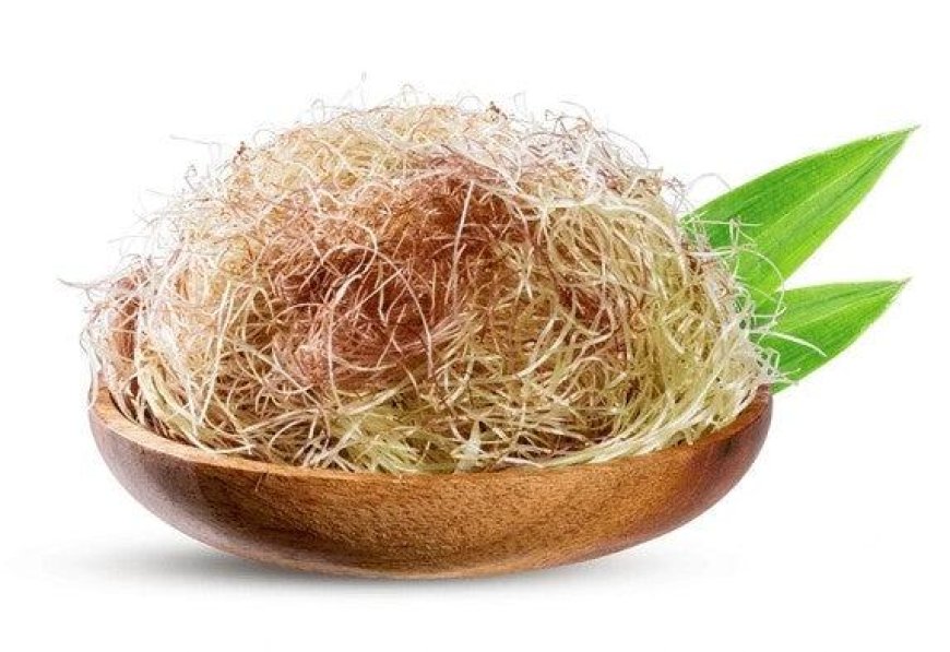 4 Cây Thuốc Nam Quanh Nhà Hỗ Trợ Đào Thải Sỏi Thận Hiệu Quả Theo Y Học Cổ Truyền