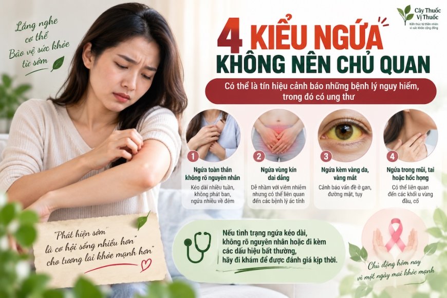 Ngứa kéo dài có thể là dấu hiệu cảnh báo bệnh gì? 4 trường hợp không nên chủ quan